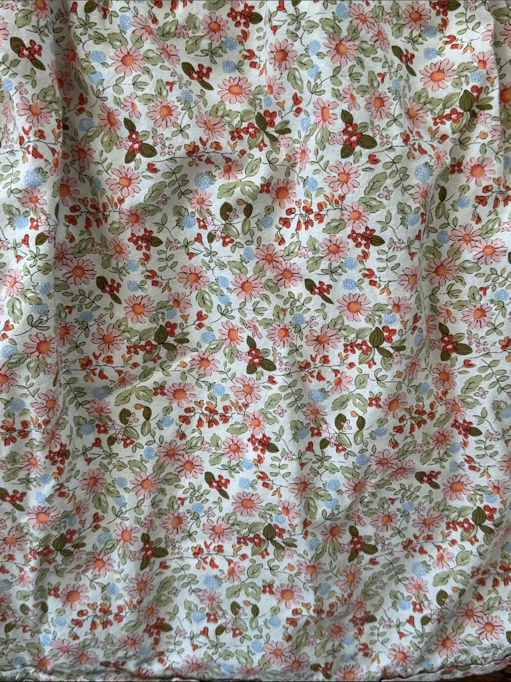 Cecil And Lou Floral Lace Collar Dress
